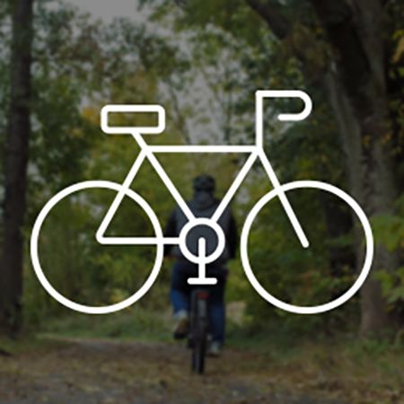 Eine Person fährt mit einem Fahrrad einen von Bäumen gesäumten Waldweg entlang. Die Umgebung ist grün und herbstlich, mit leichtem Laubfall. Überlagert wird das Bild von einem weißen Piktogramm, das ein Fahrrad darstellt.